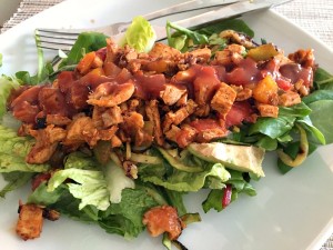 Chicken Salsa & Avocado Salad Recipe + GreenSaver