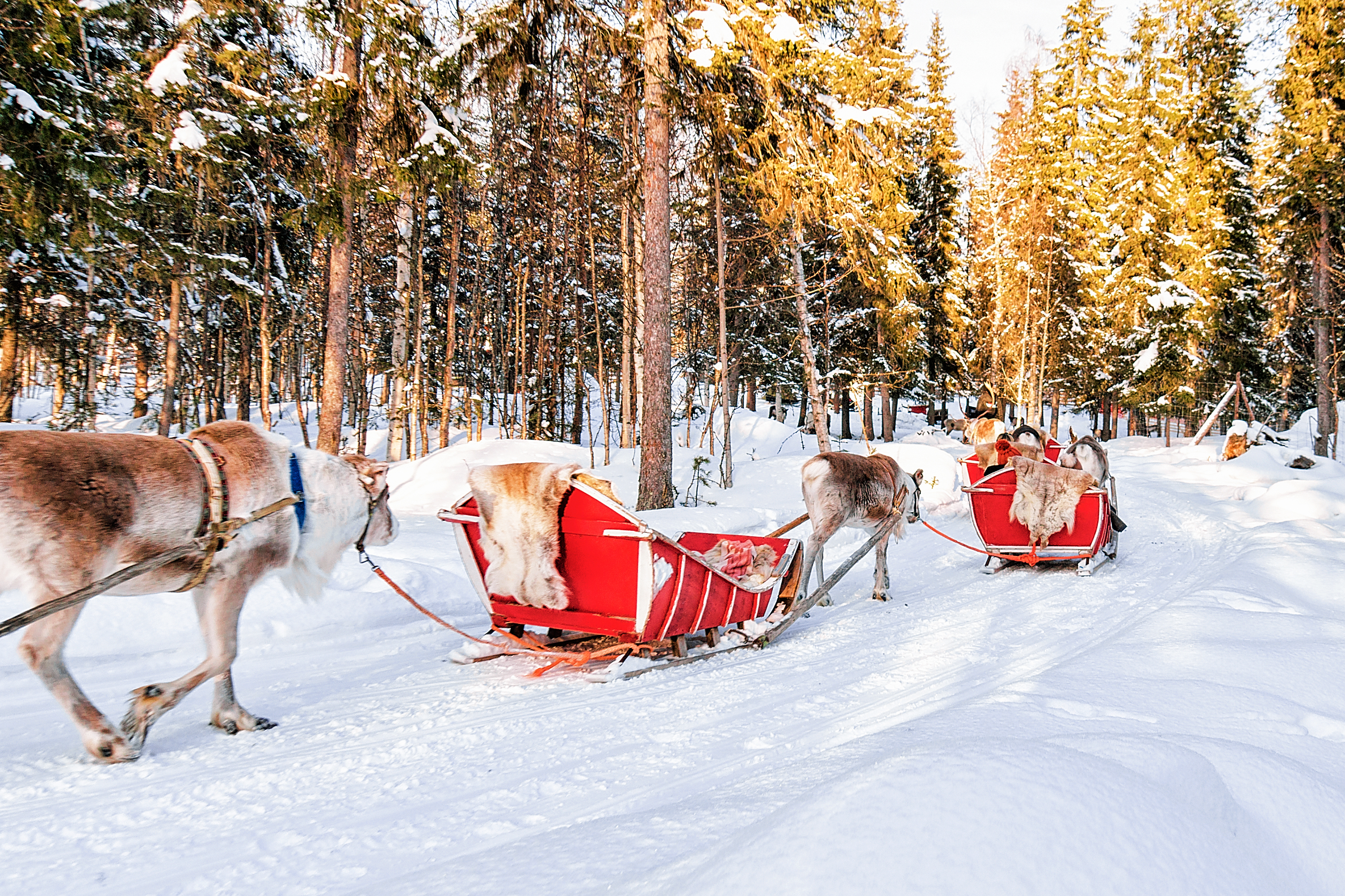 Choosing Finland for your Lapland Holiday