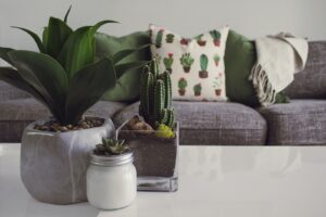 Natural Home Decor: 5 Tips To Get You Started