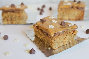 NO NUTS: Peanut Butter Chocolate Oatmeal Bars Recipe